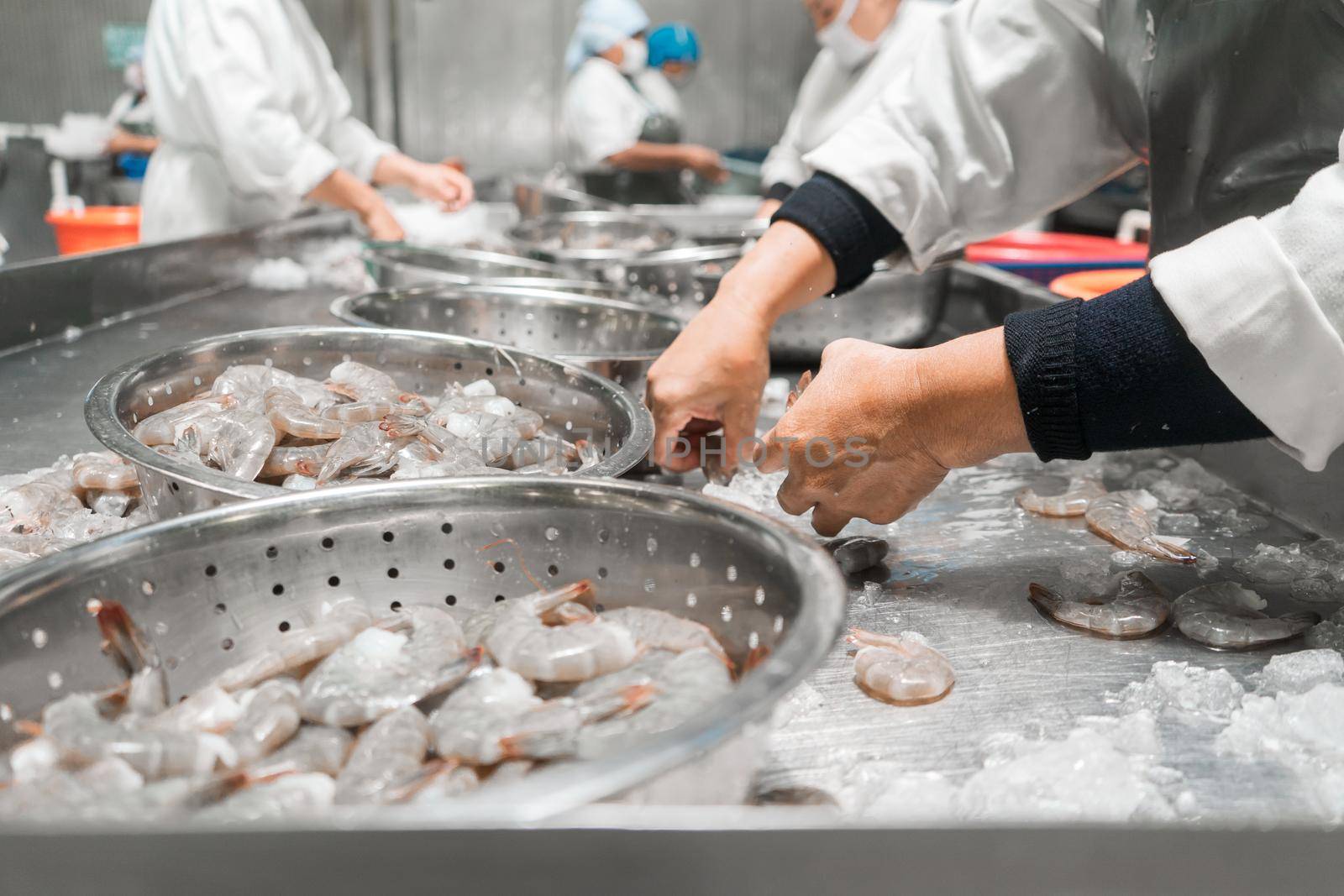 Latin American workers inspecting frozen farmed shrimp at an industrial food plant by cfalvarez
