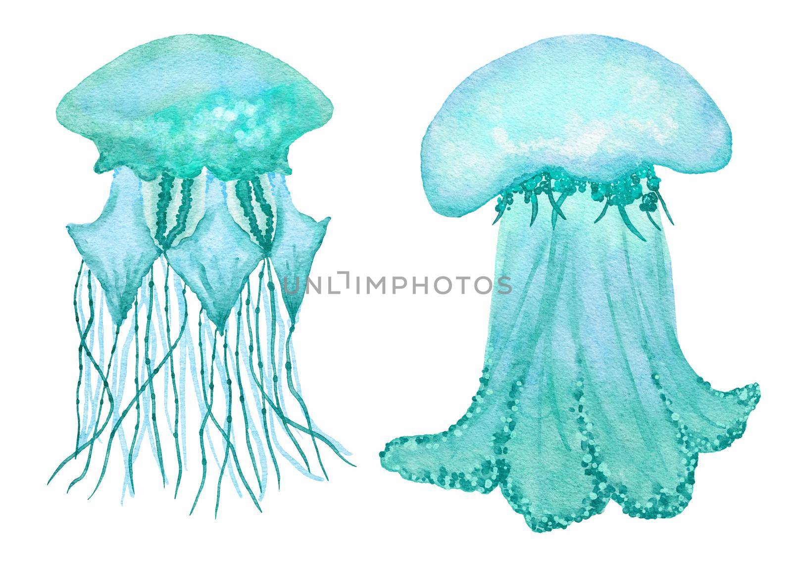 Watercolor illustration of jellyfish in blue turquoise purple colors, ocean sea underwater wildlife animals. Nautical summer beach design, coral reef life nature