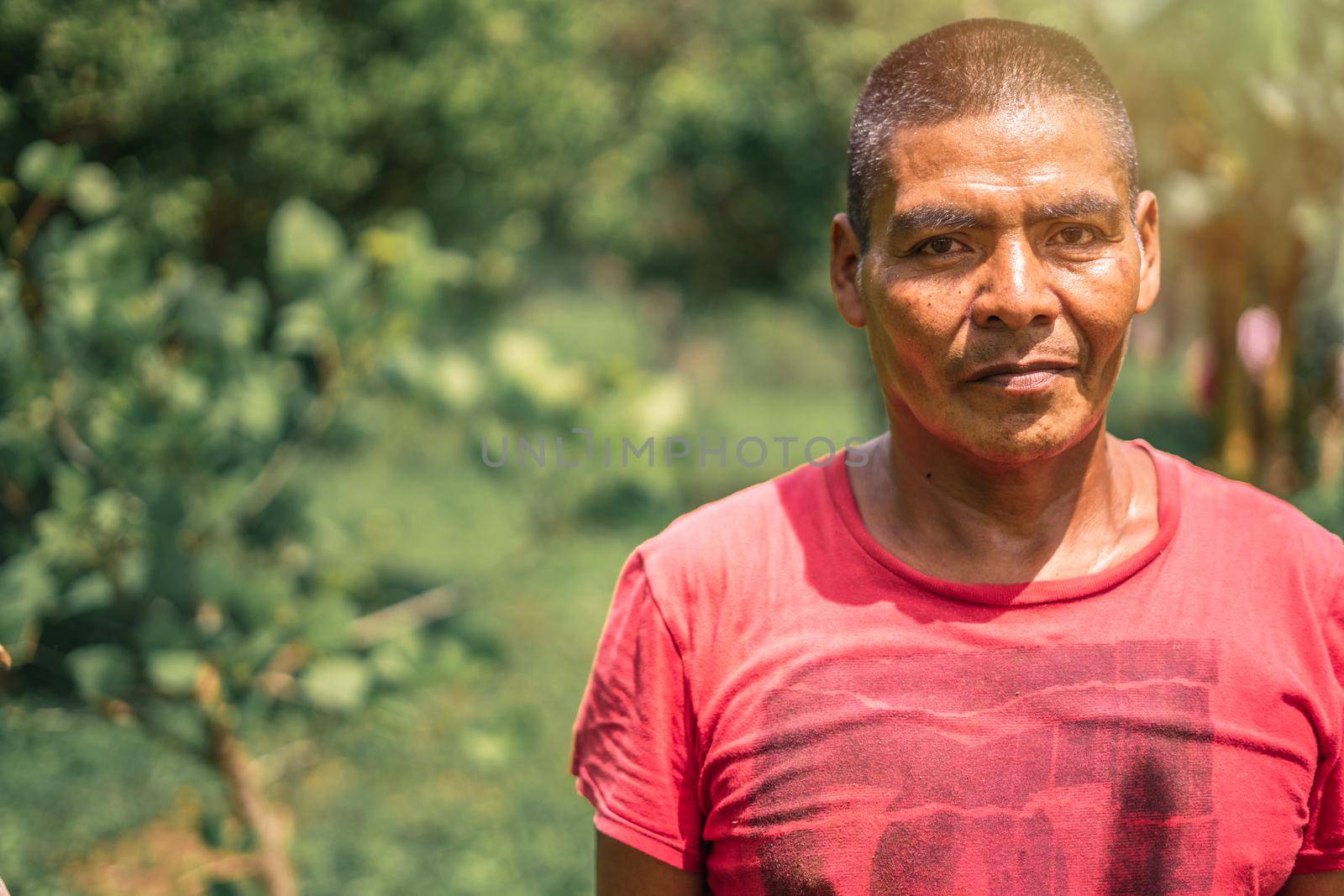 Portrait of a Latino Nicaraguan farmer man in rural Nicaragua, photo with copy space by cfalvarez