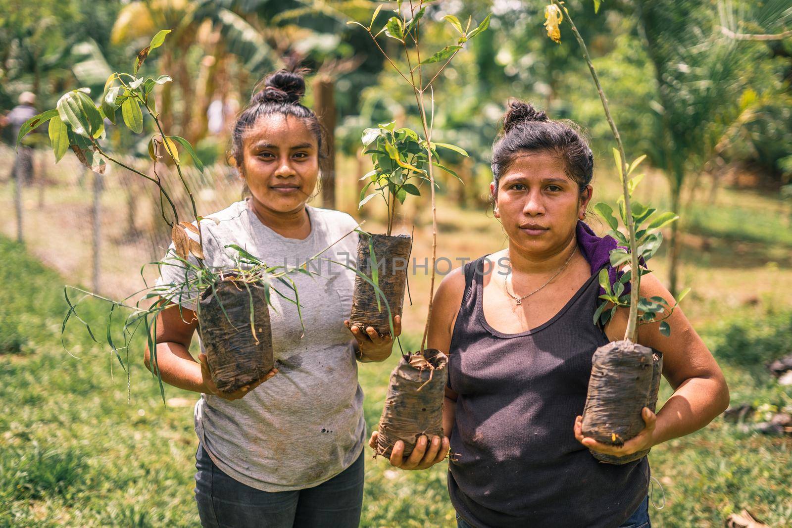 Nicaraguan women, mother and daughter holding plants in their hands and looking at camera in rural Nicaragua by cfalvarez