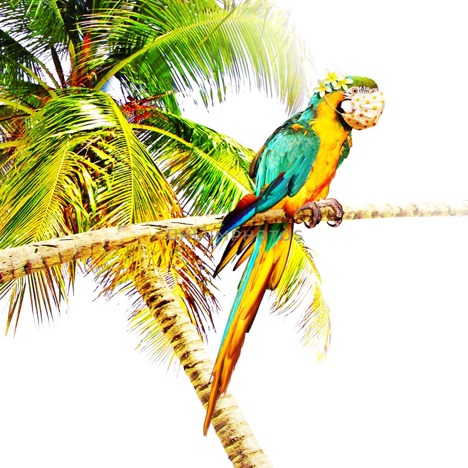 Macaw parrot with medical mask on vacation by Taut