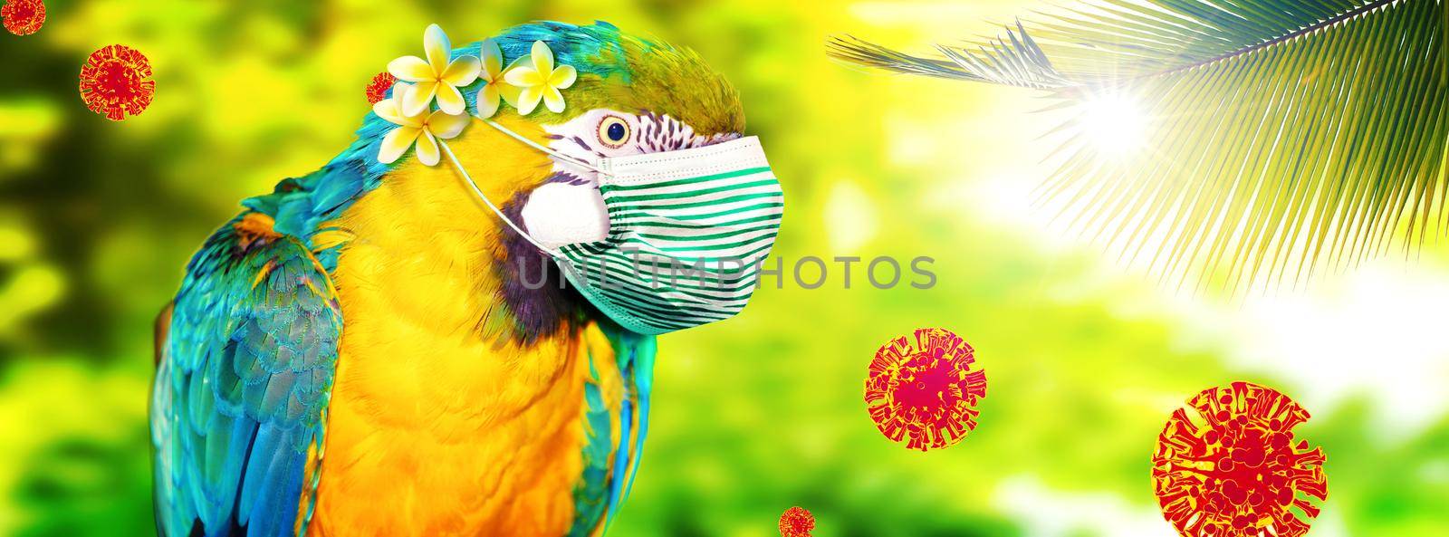 Macaw parrot with medical mask on vacation by Taut