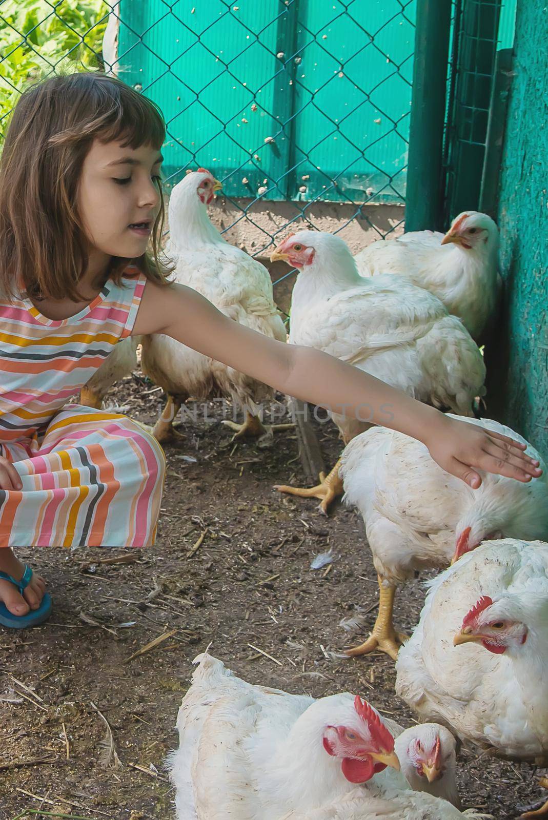 A child on a farm with a chicken. Selective focus. by yanadjana