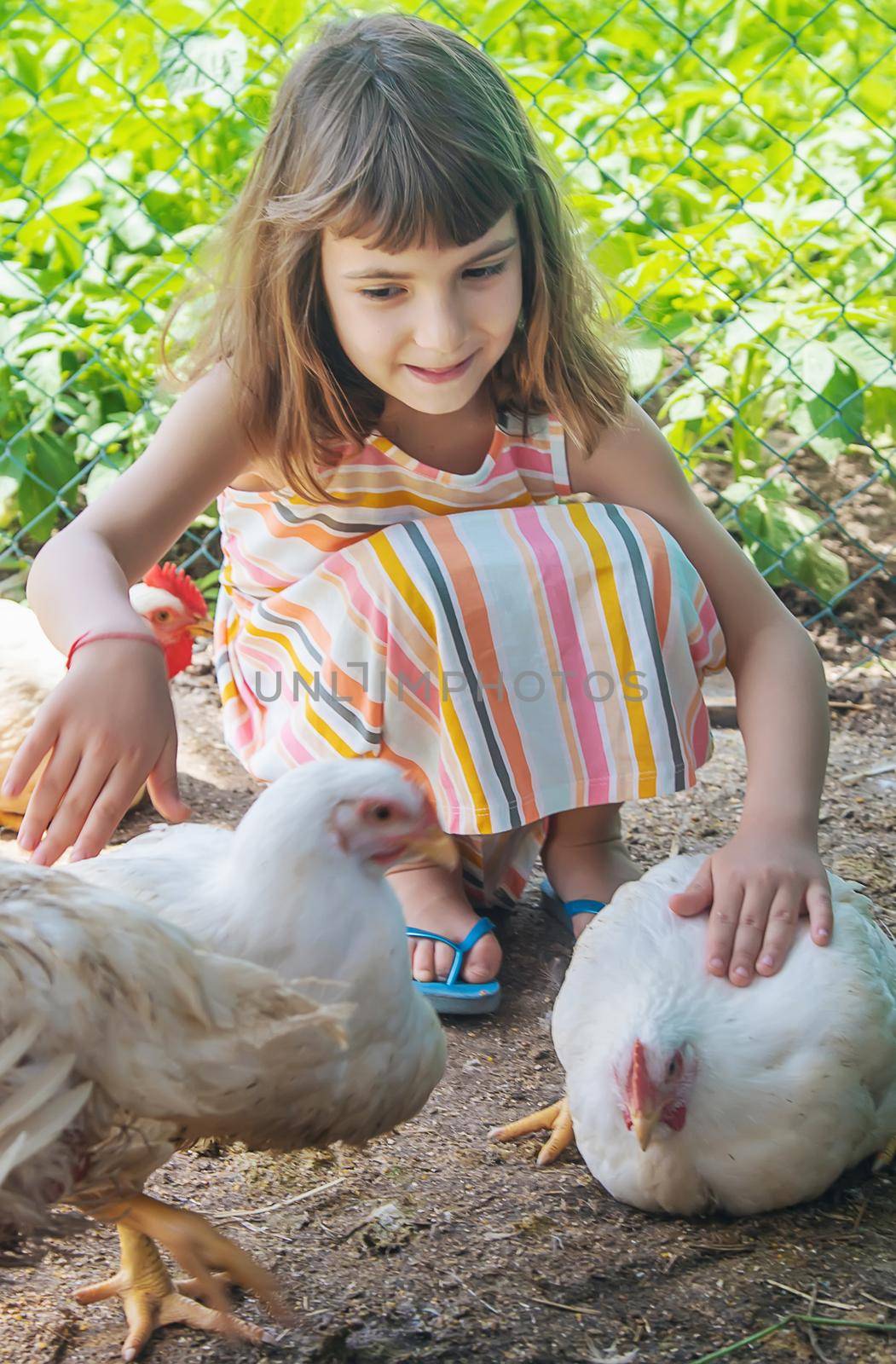 A child on a farm with a chicken. Selective focus.