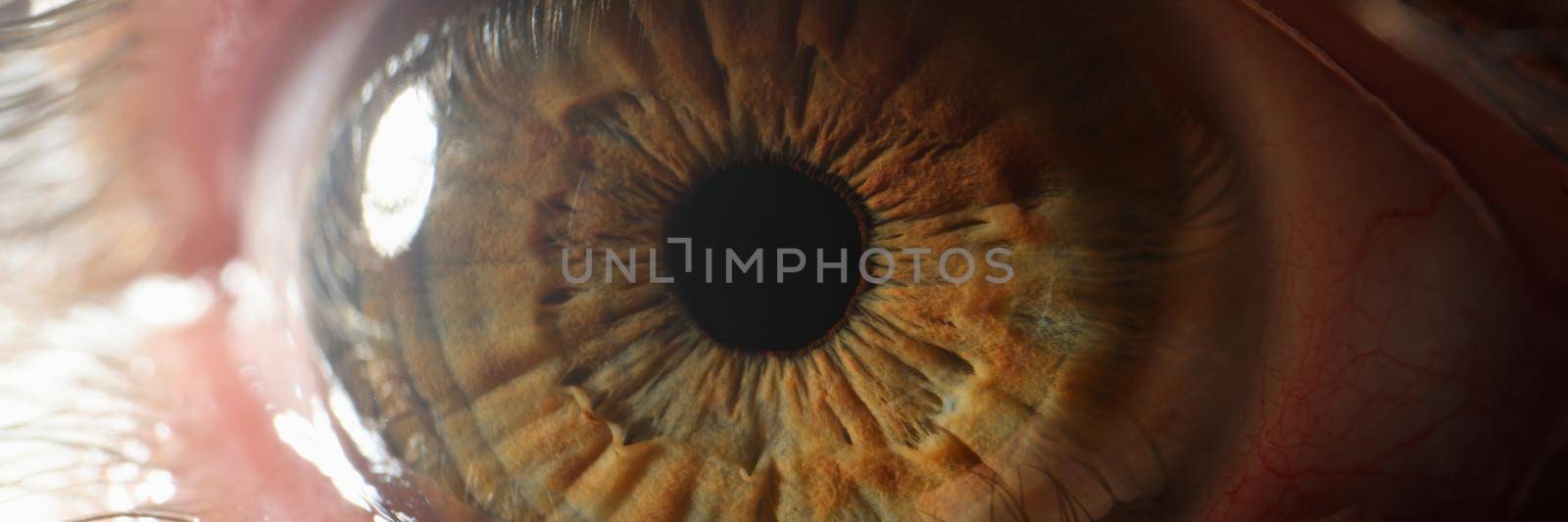 Close up of beautiful brown green human eye. Detective agency concept