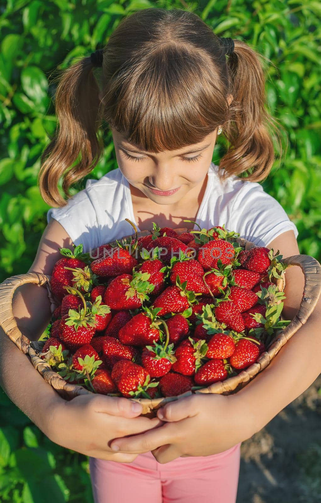 A child with strawberries in the hands. Selective focus. food.