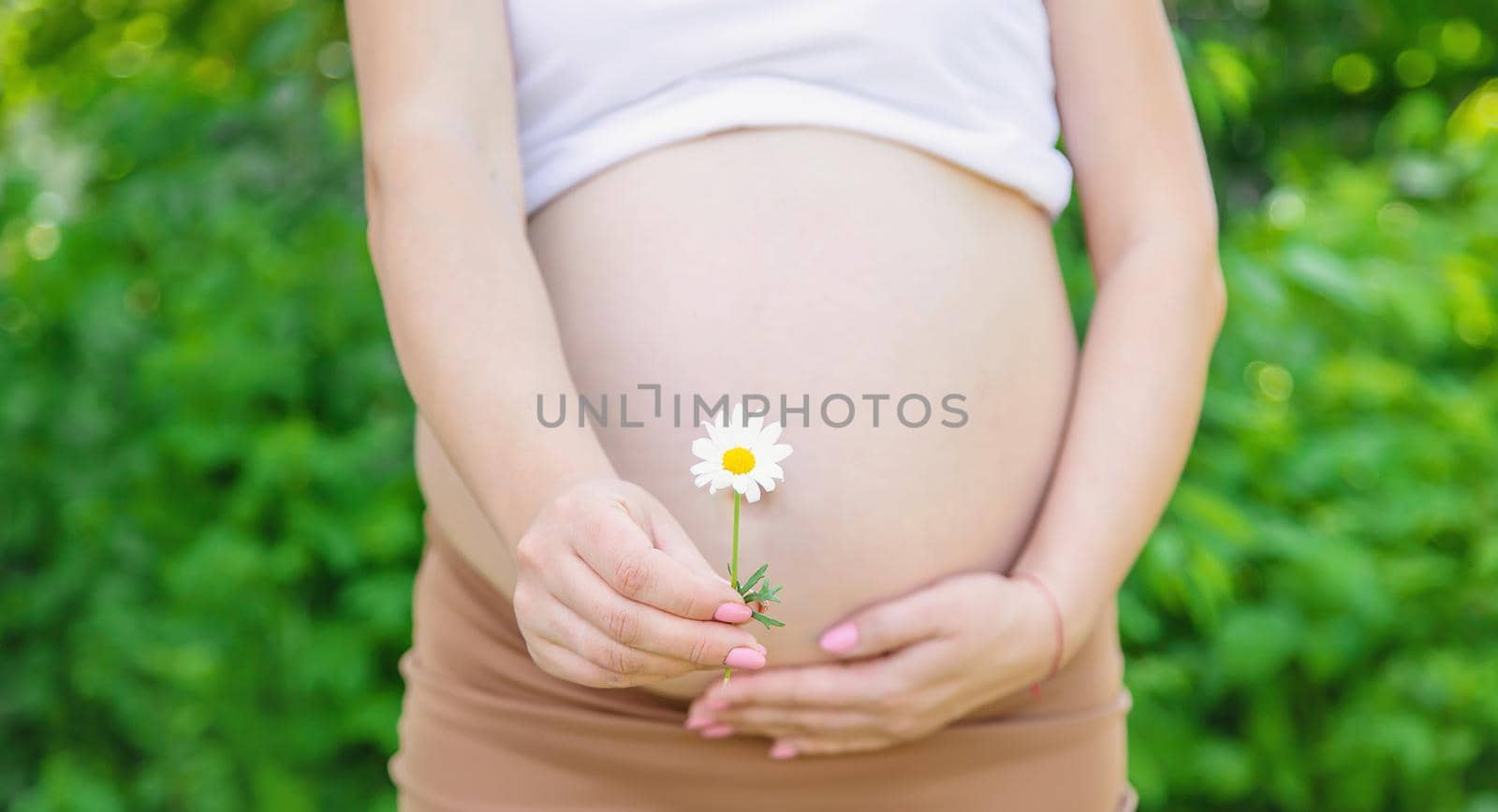 Pregnant woman with a camomile in hands. Selective focus. nature.