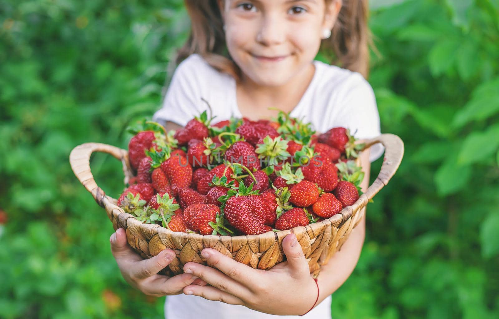A child with strawberries in the hands. Selective focus. food.