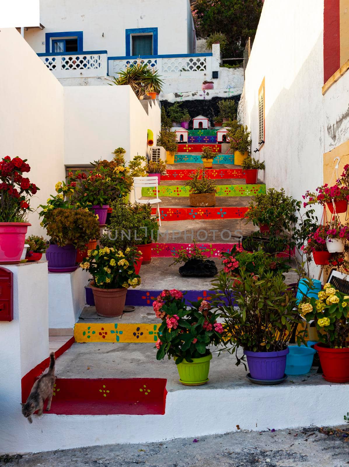 Typical house in Linosa with the staircase full of flower pots by bepsimage