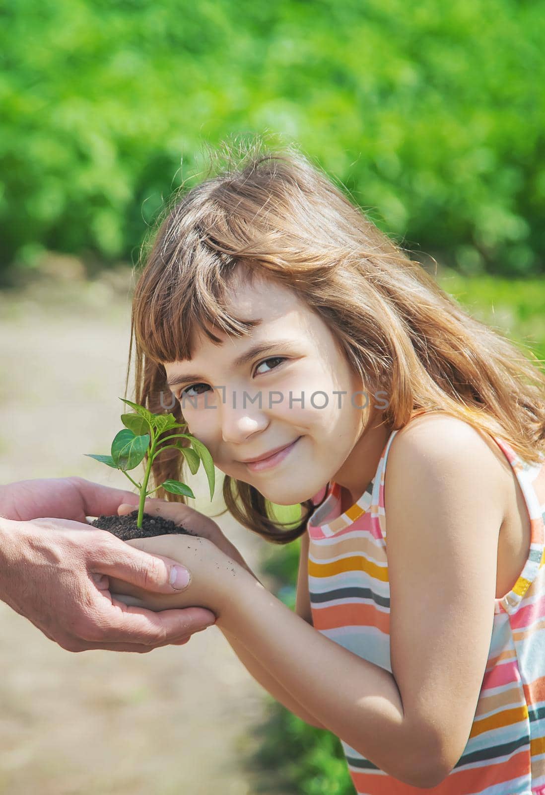 A child with his father plant a nursery garden. Selective focus. people.