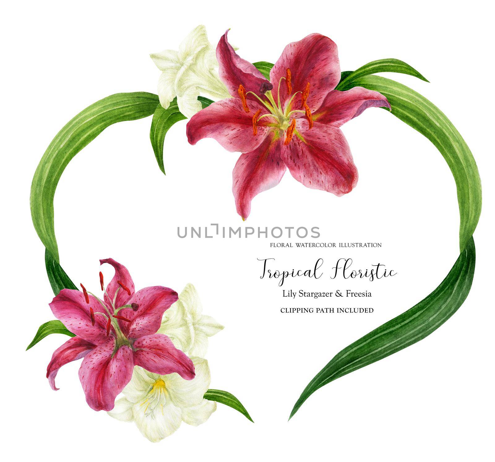 Tropical heart wreath with stargazer lily and white freesia, watercolor with clipping path