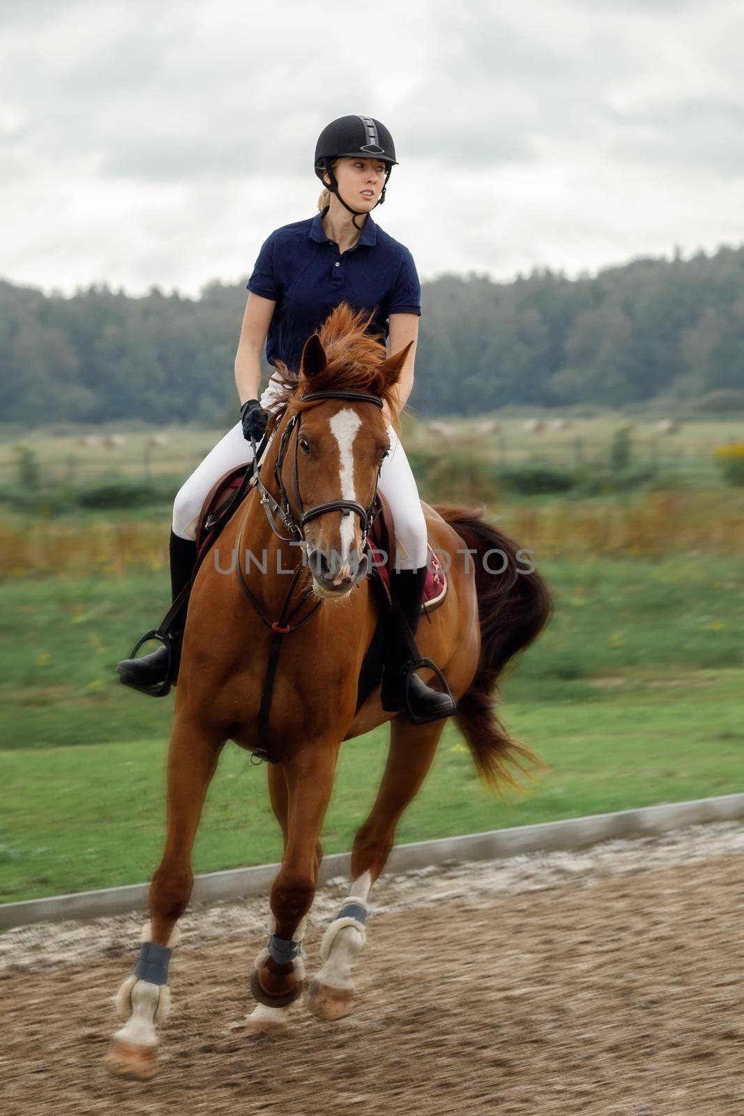Girl, horse rider, during a match, in torque, high speed, in motion blur. Equestrian sport in details. Sport horse and rider.