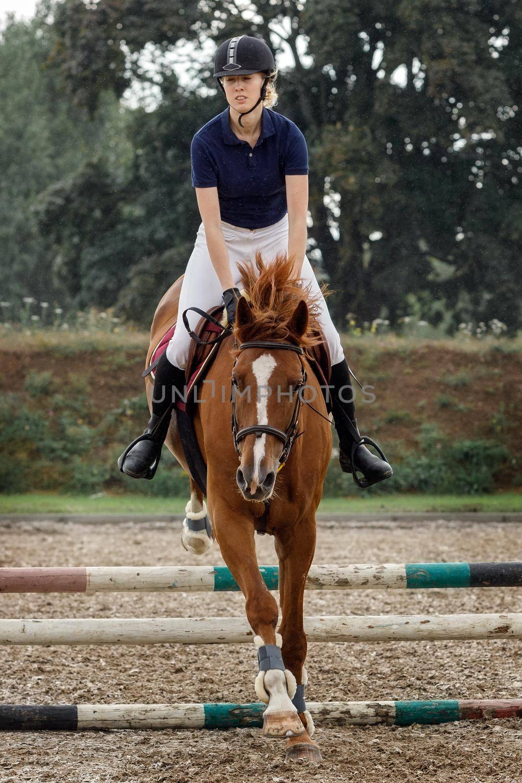 Equestrian jumper - young girl jumping with cherry-brown horse. A horse and rider in jump motion, in the air, equestrian competition in the rain.