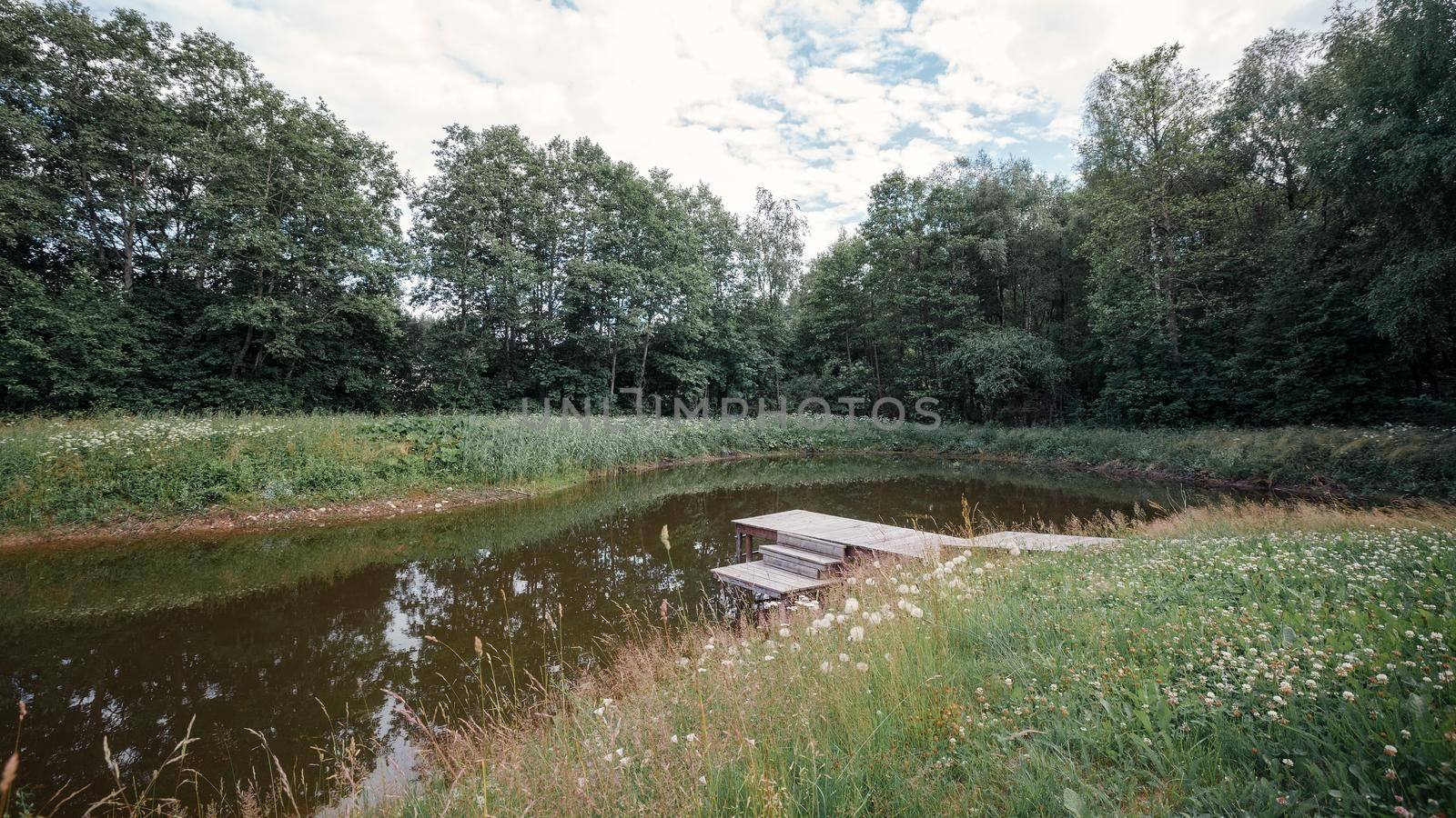 Pond in the village next to the forest with a wooden bridge with steps for fishing and relaxation