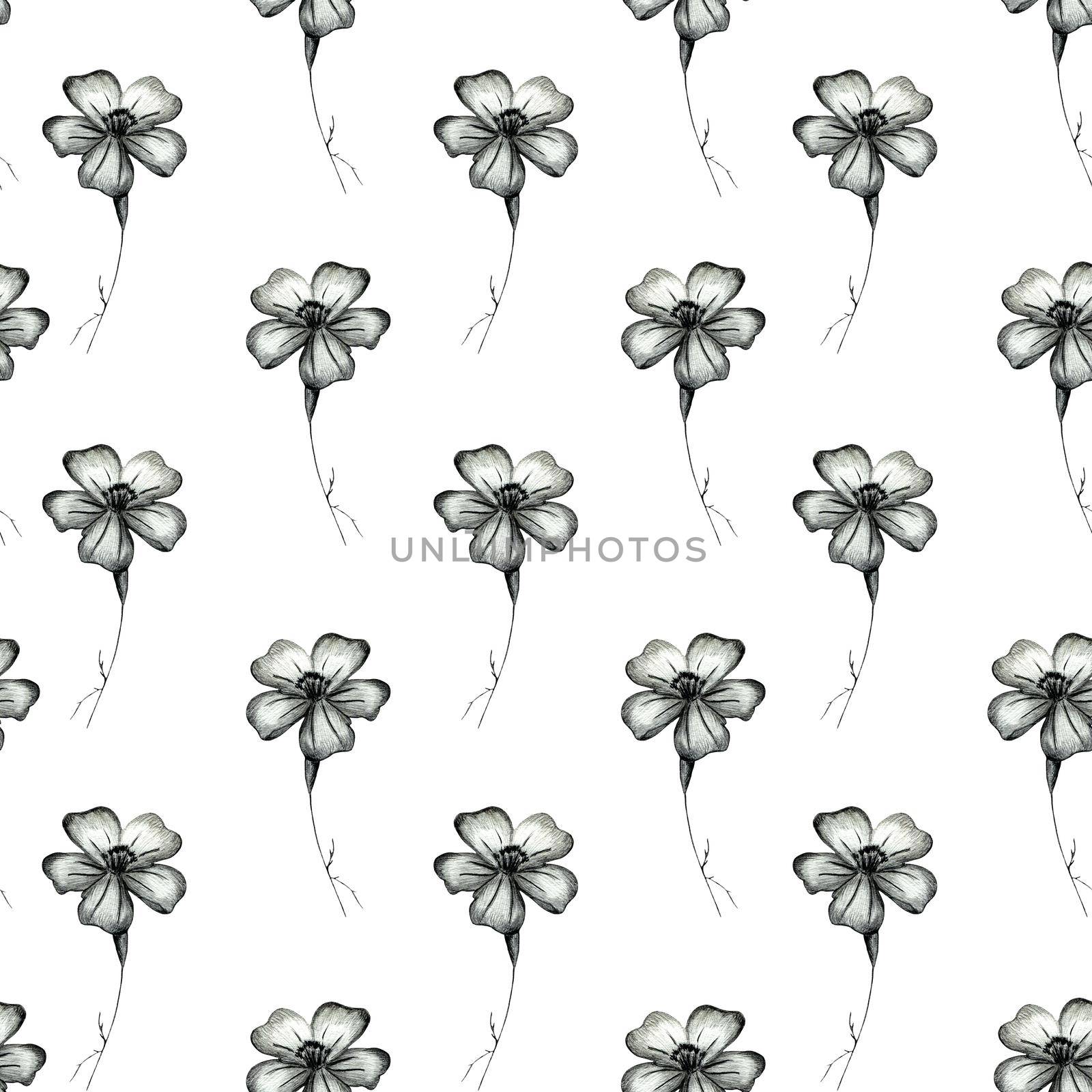 Seamless Pattern with Hand-Drawn Flower. Black Background with Thin-leaved Marigolds for Print, Design, Holiday, Wedding and Birthday Card.