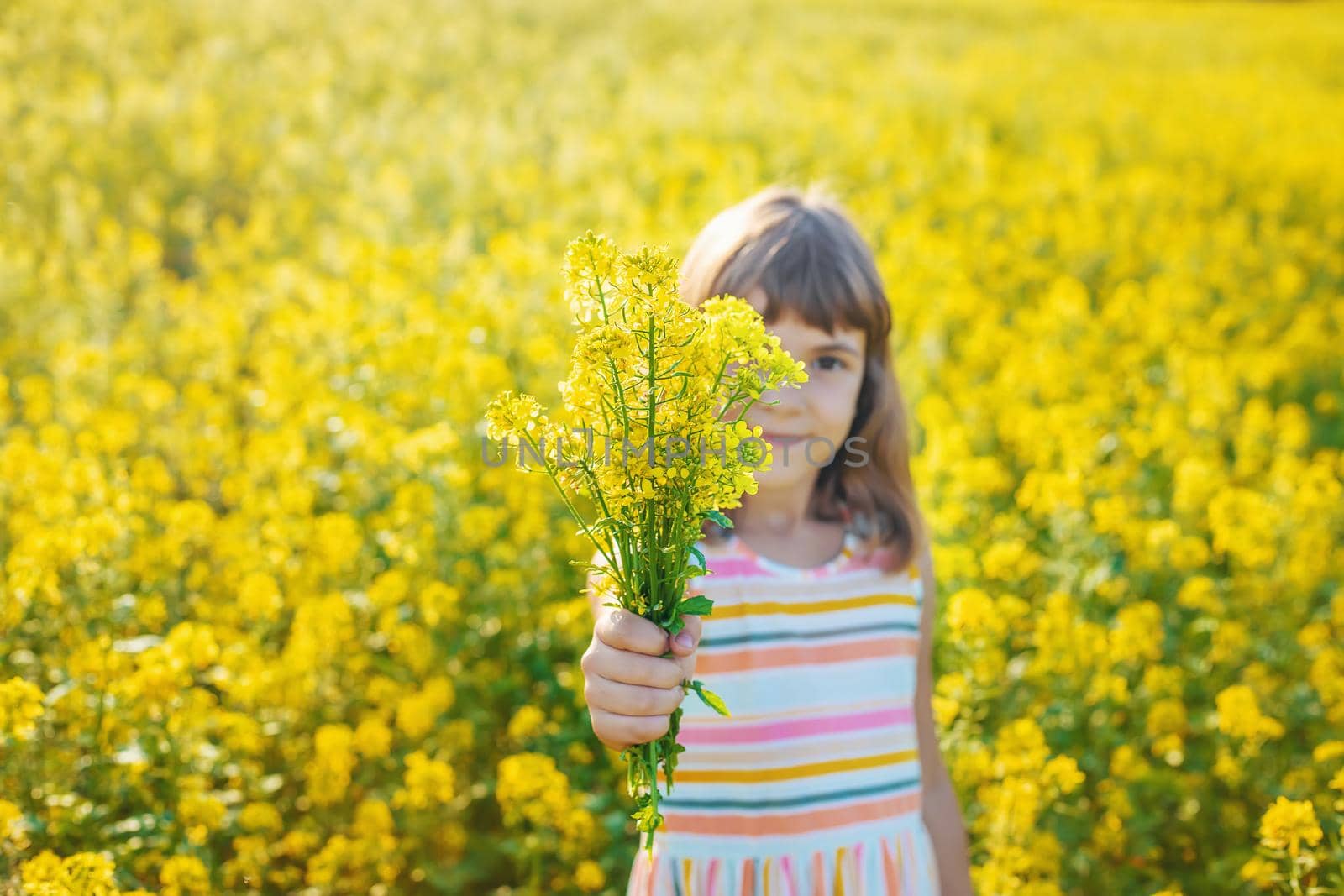 A child in a yellow field, mustard blooms. Selective focus.