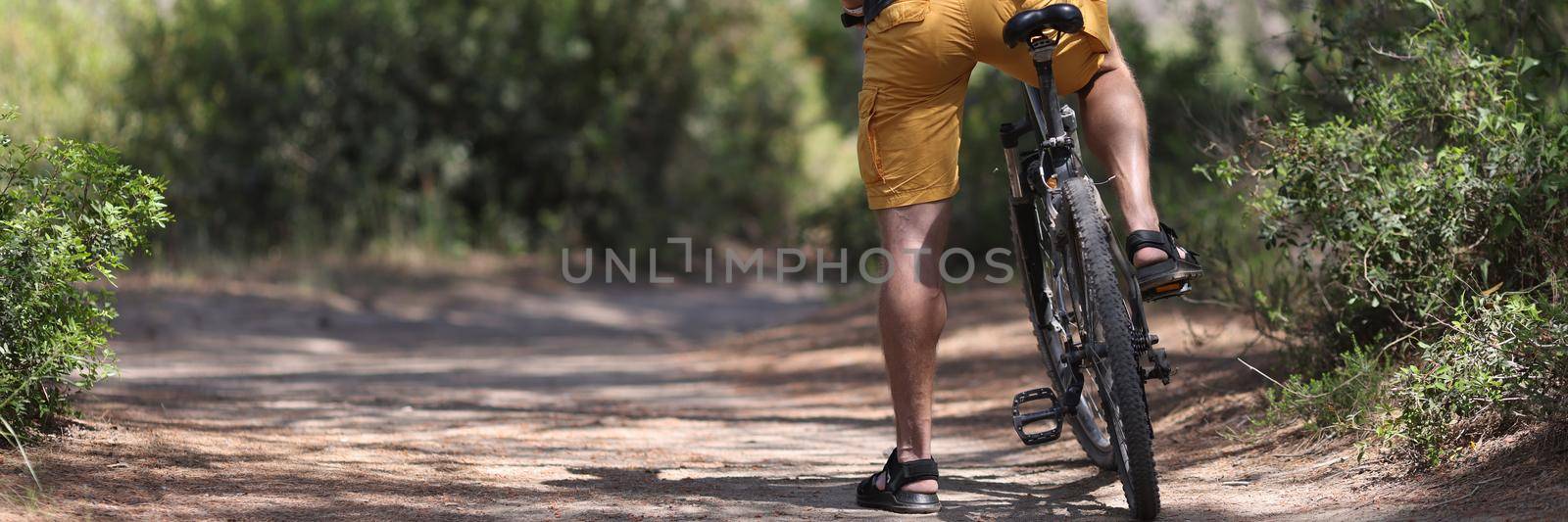 Back view of man sitting on bicycle on forest road. Healthy lifestyle concept