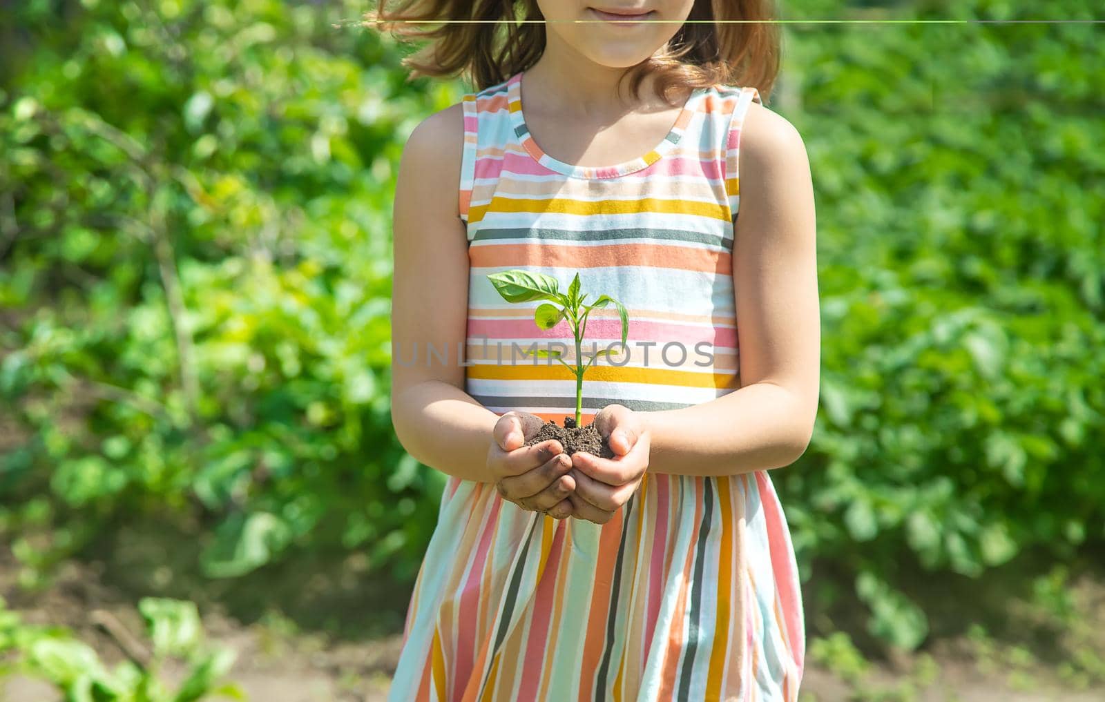 A child with seedlings in his hands in the garden. Selective focus. people.