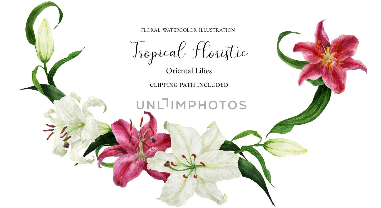 Tropical floral watercolor garland with oriental white and pink lilies, illustration with clipping path