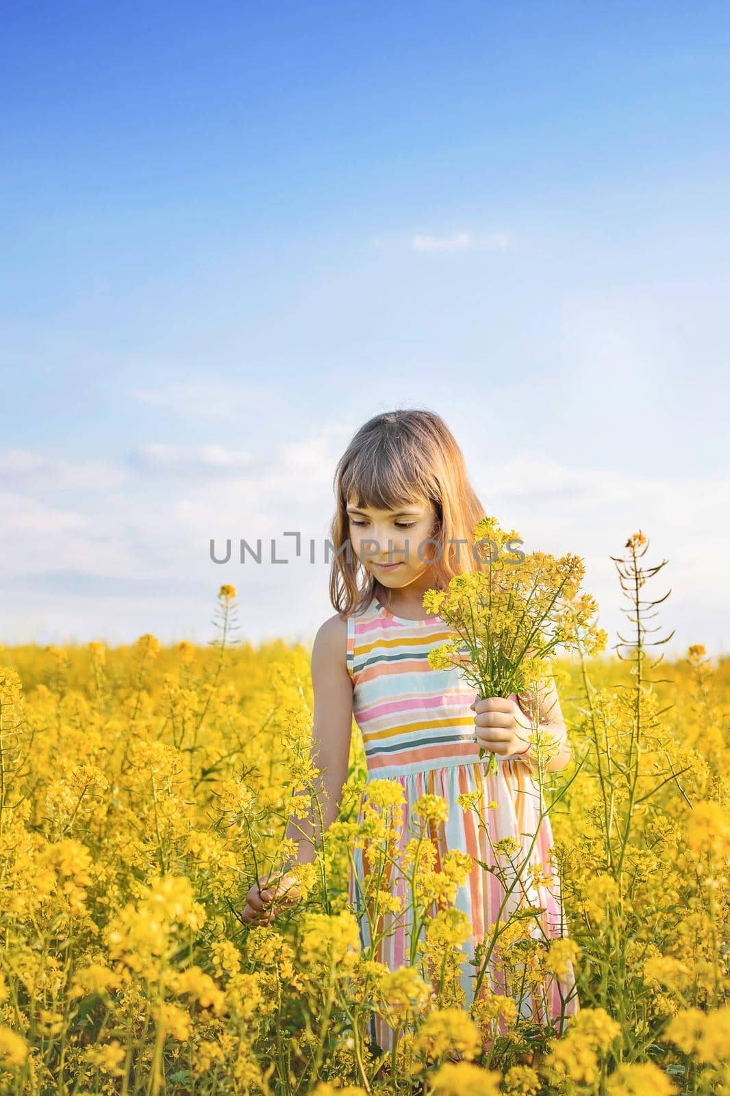 A child in a yellow field, mustard blooms. Selective focus..