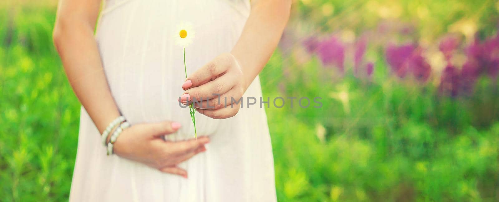 Pregnant woman with a camomile in hands. Selective focus. by yanadjana
