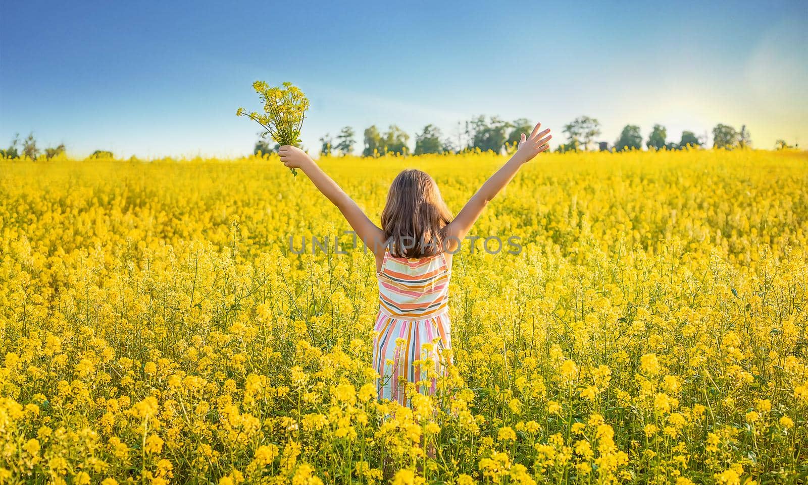 A child in a yellow field, mustard blooms. Selective focus. nature.