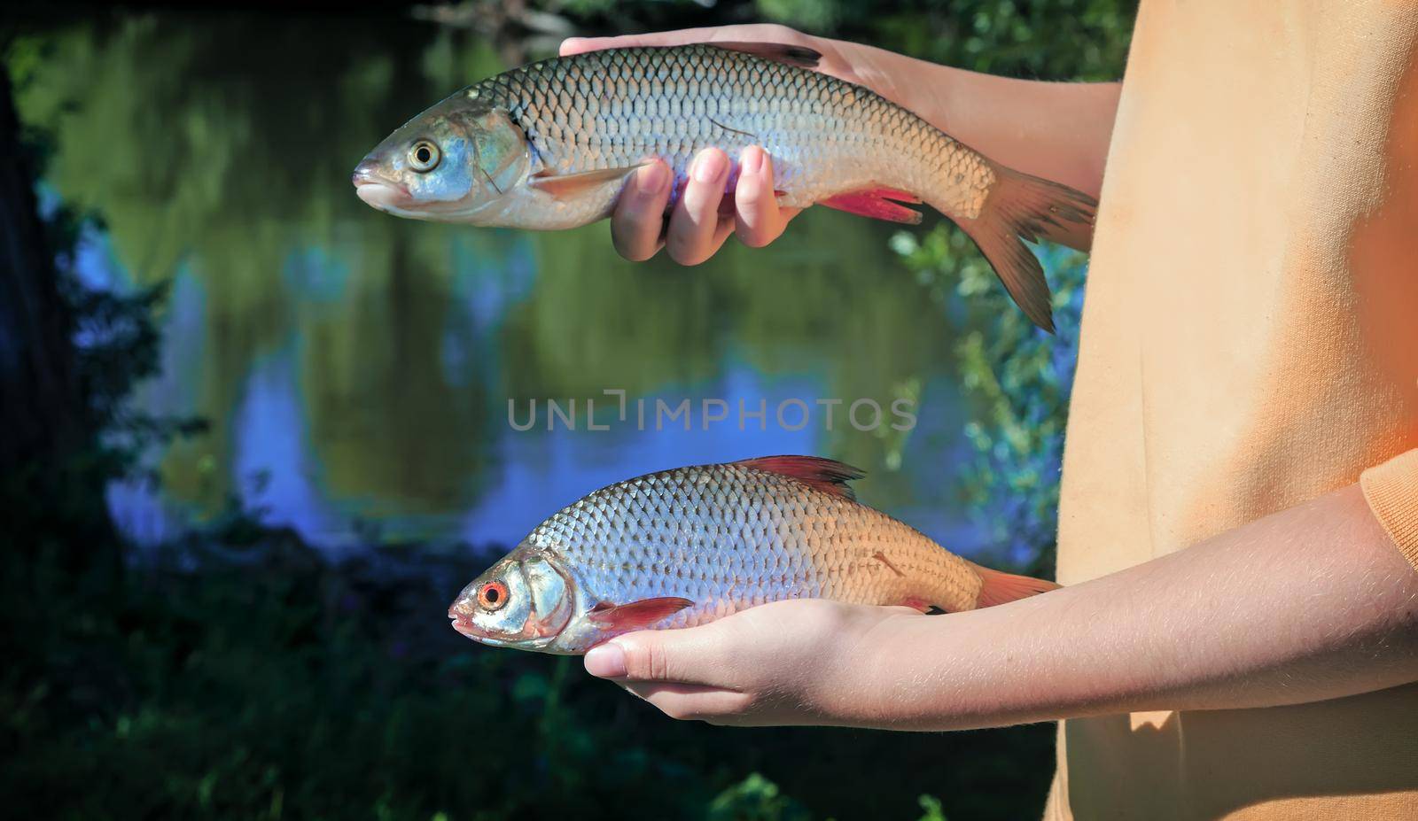 Girl holding a fish caught in the river. by georgina198
