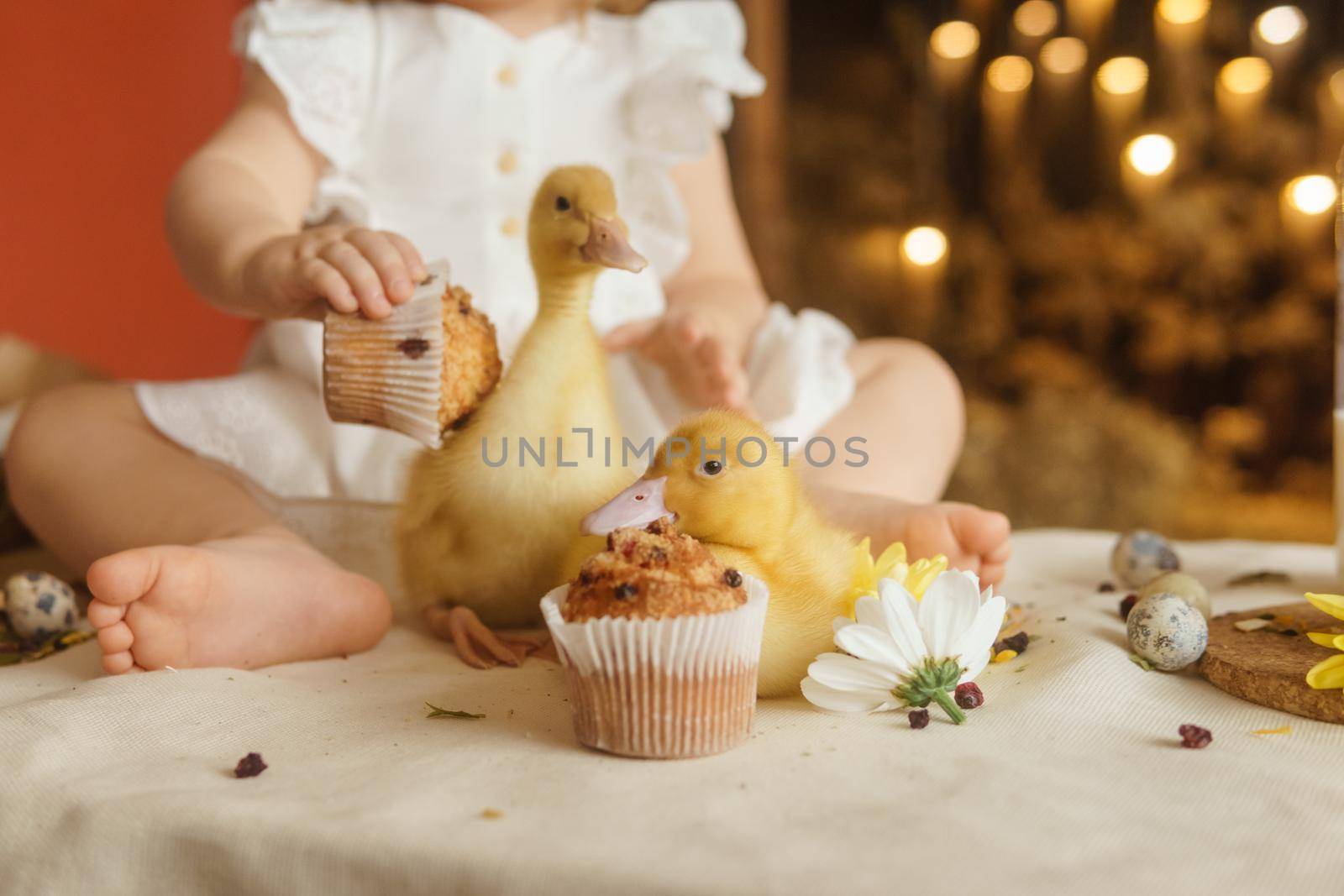 Cute fluffy ducklings on the Easter table with quail eggs and Easter cupcakes, next to a little girl. The concept of a happy Easter.