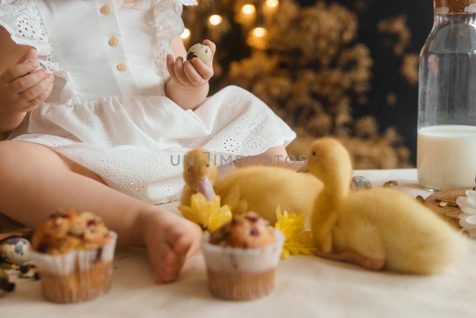 Cute fluffy ducklings on the Easter table with quail eggs and Easter cupcakes, next to a little girl. The concept of a happy Easter.