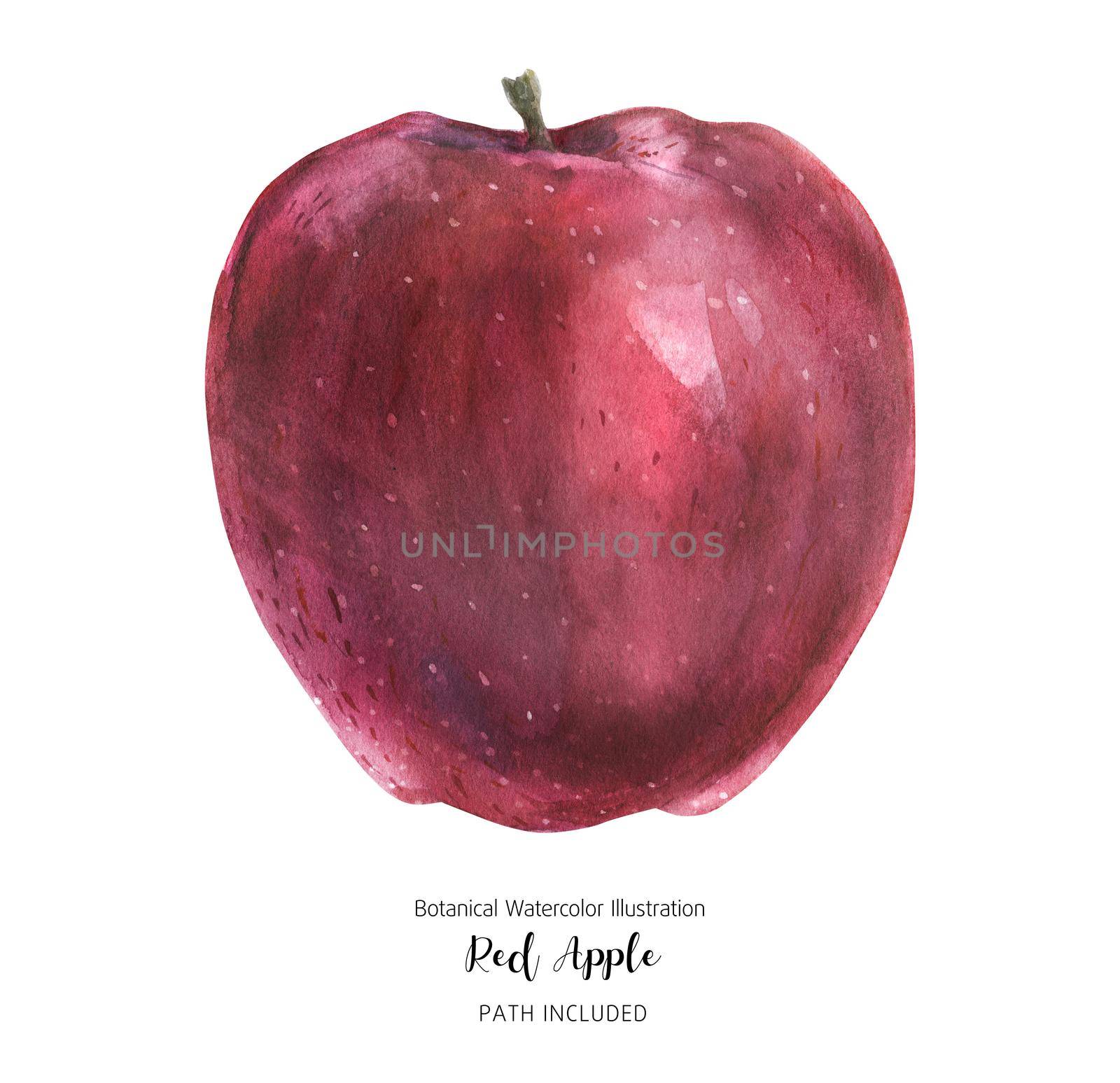 Big red apple fruit, isolated watercolor art with clipping path