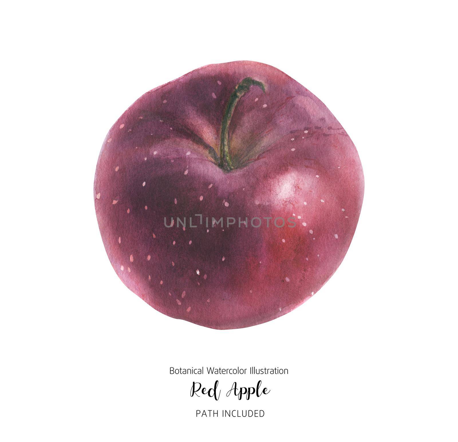 Fresh sweet red apple fruit, watercolor illustration with clipping path