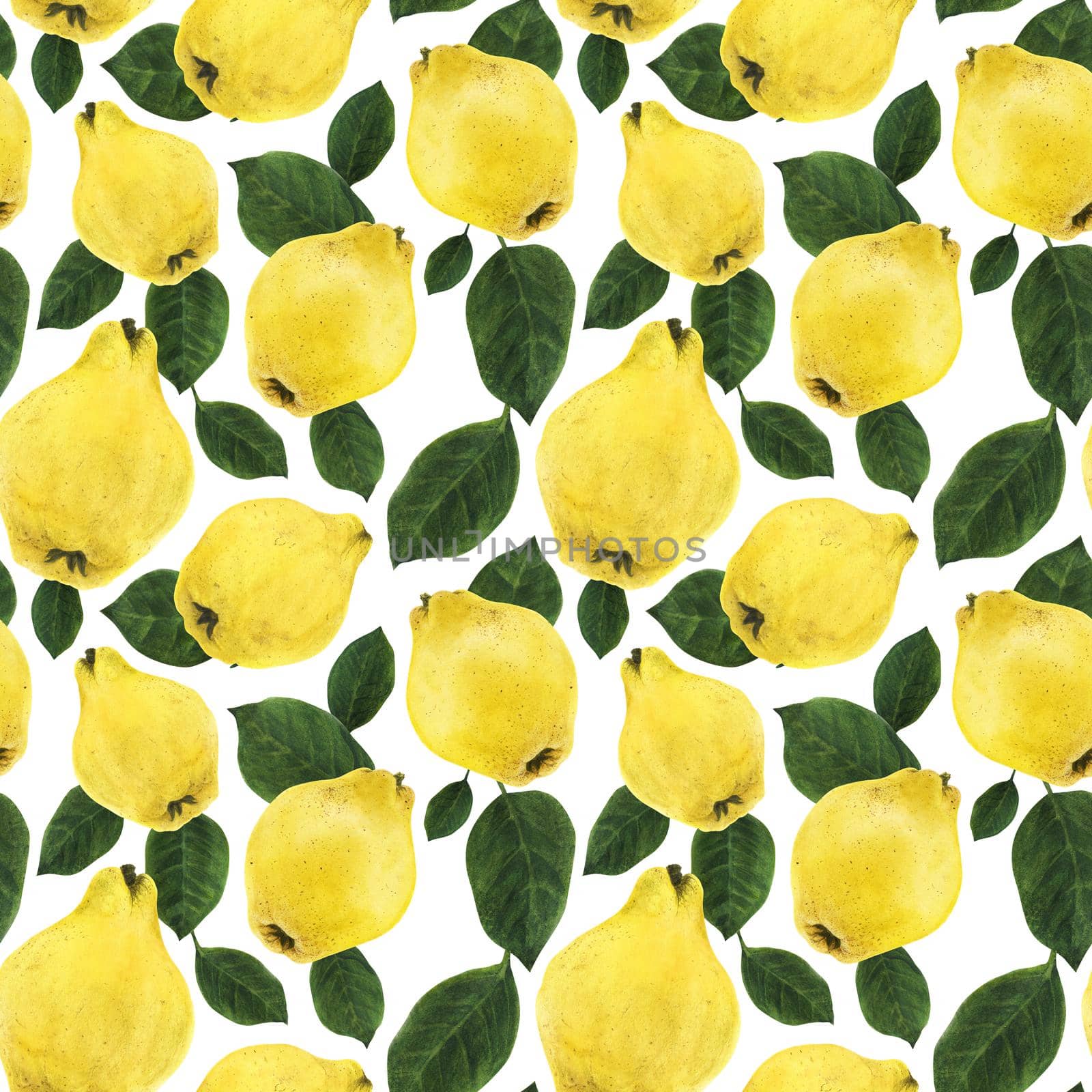 Yellow quince fruits and green leaves watercolor seamless pattern with clipping path