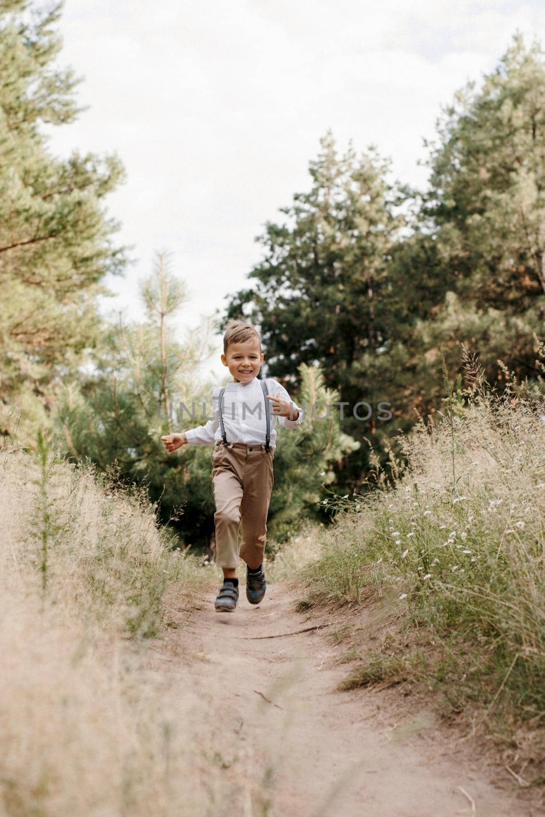 happy children play in a summer pine forest against the background of lights