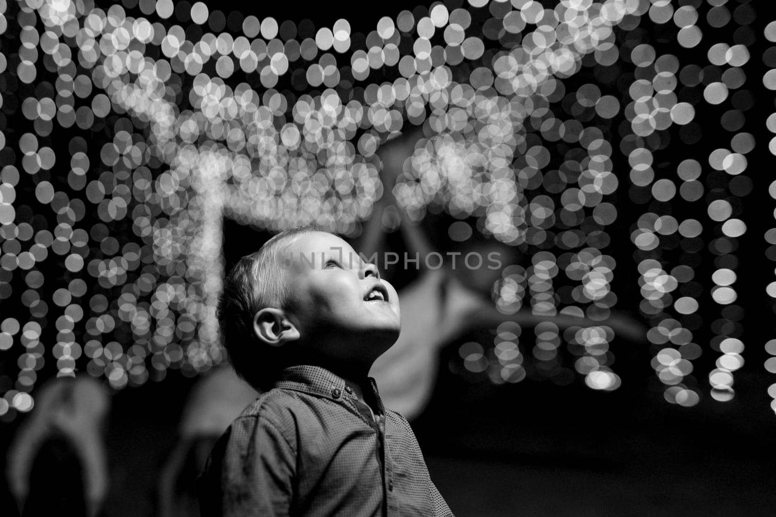 happy children play in a summer pine forest against the background of lights