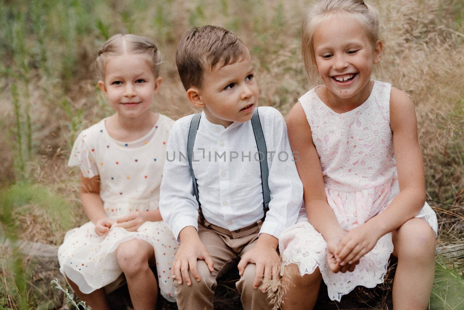 happy children play in a summer pine forest against the background of lights