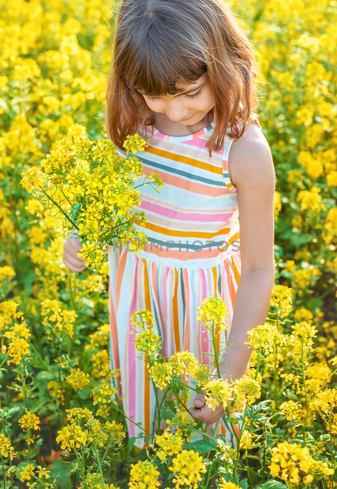 A child in a yellow field, mustard blooms. Selective focus.