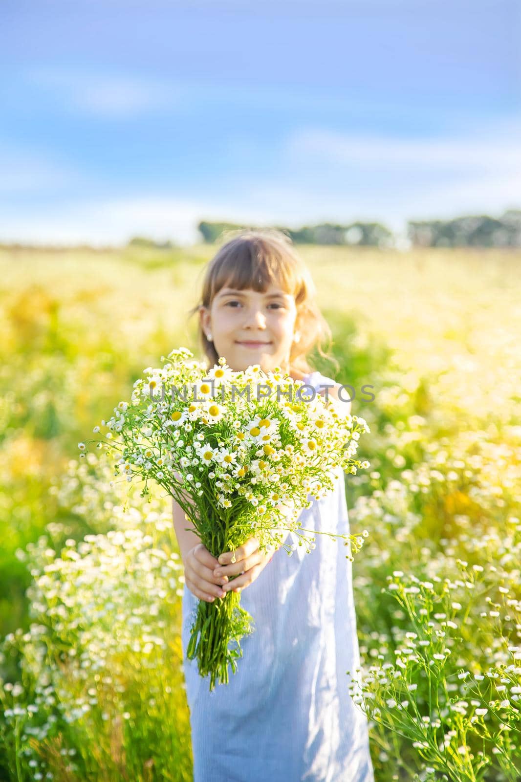 Child girl in a camomile field. Selective focus. nature.