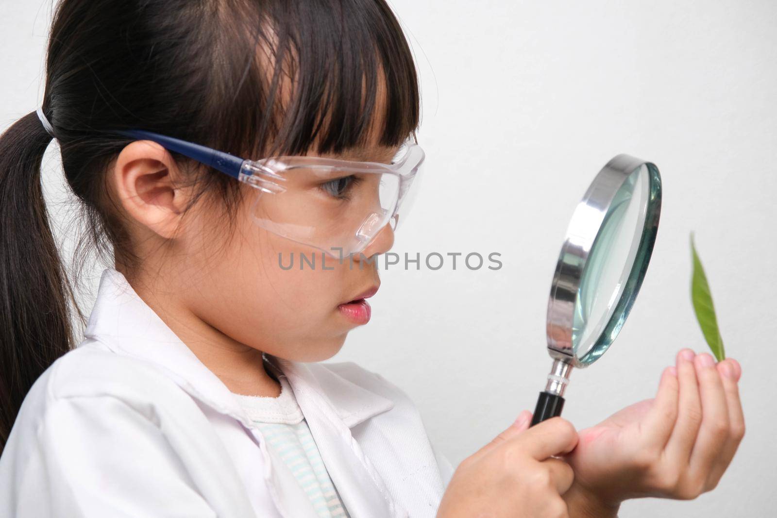 Portrait of a little girl in glasses holding a magnifying glass looking at leaves in researcher or science uniform on white background. Little scientist. by TEERASAK