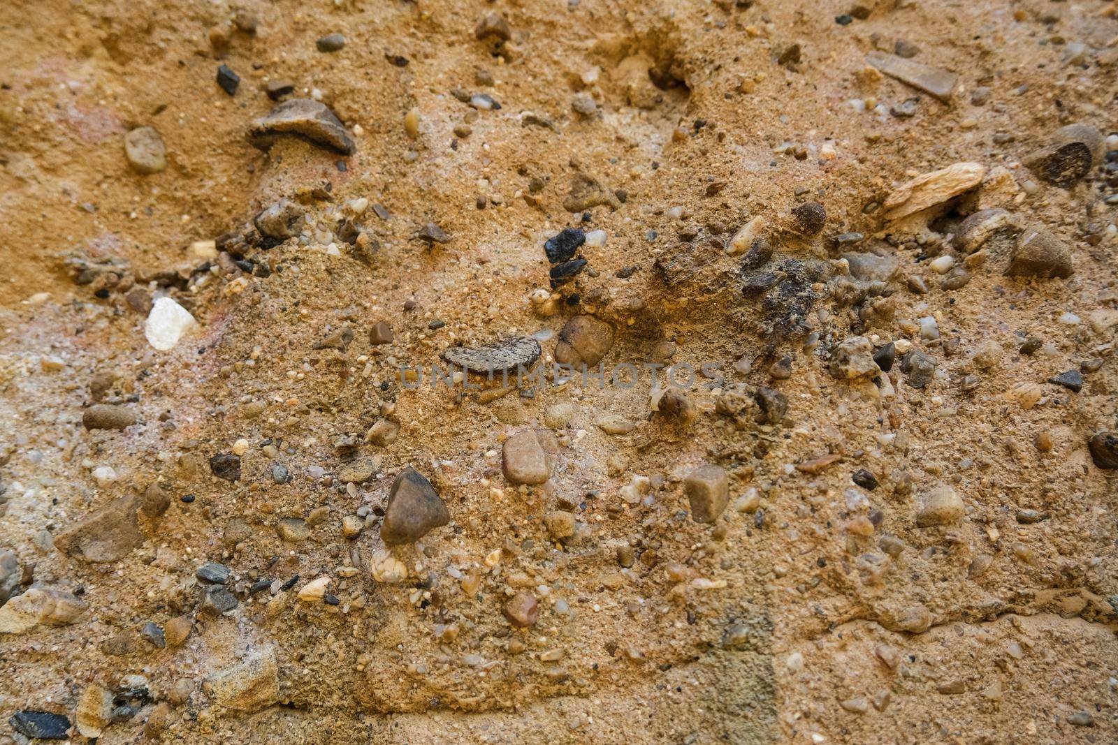 Close-up surface of high soil canyon cliffs has many rounded pebbles scattered in the soil at Pha Chor, a famous tourist attraction in northern Thailand. by TEERASAK