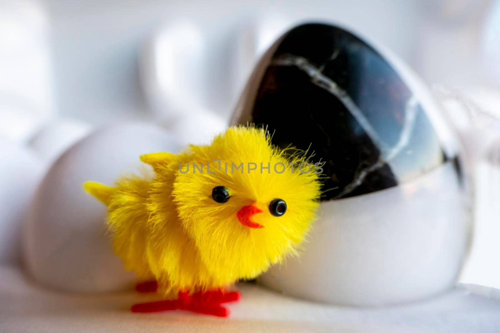 Boiled egg chickens in egg box. Easter decor - a small yellow chicken stands in a cassette in the middle of white chicken eggs