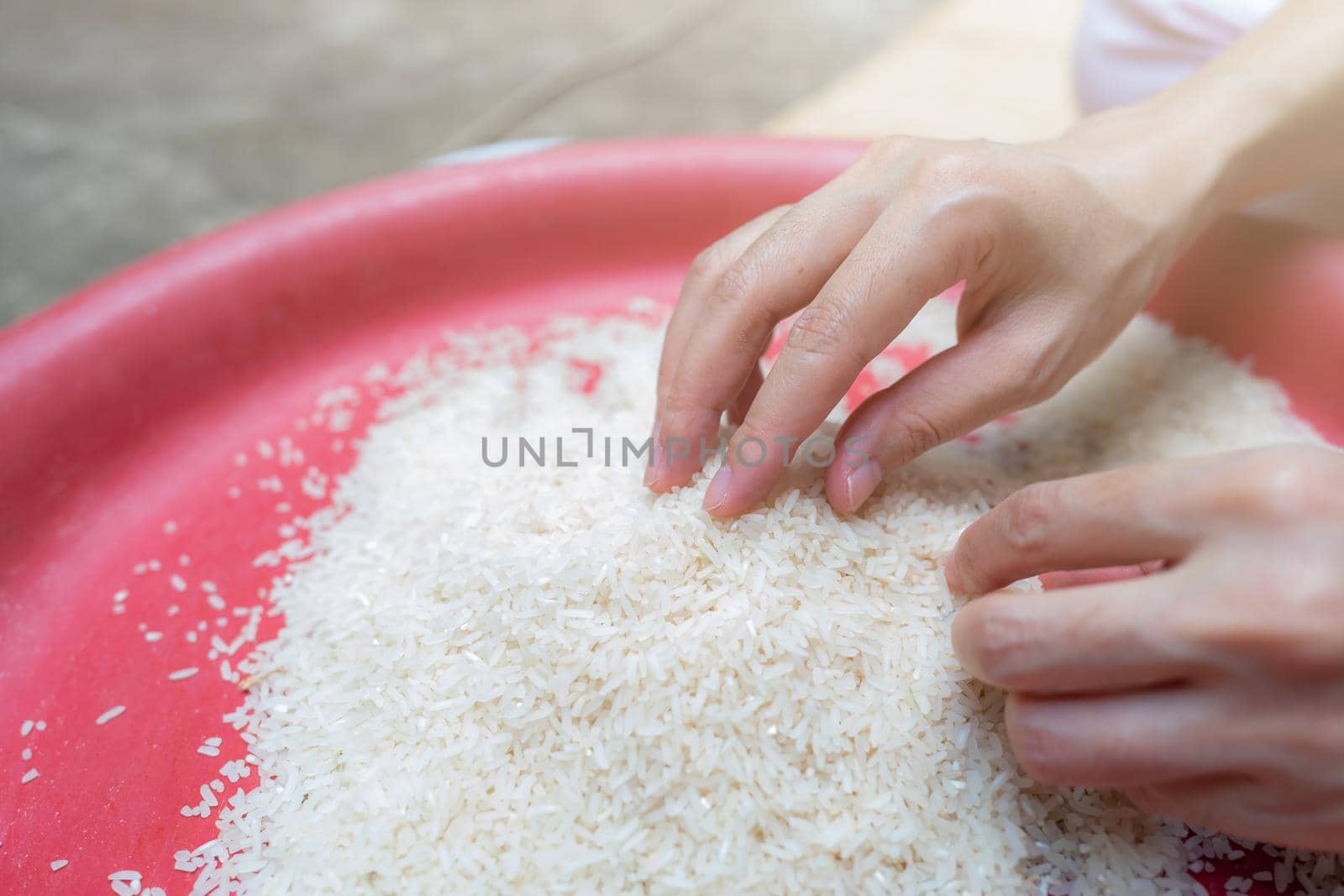 Woman hand holding rice in plastic tray. Uncooked milled white rice. Rice price in world market. World yield for rice concept. Zakat and charity. Global food crisis concept. Organic cereal grain. 