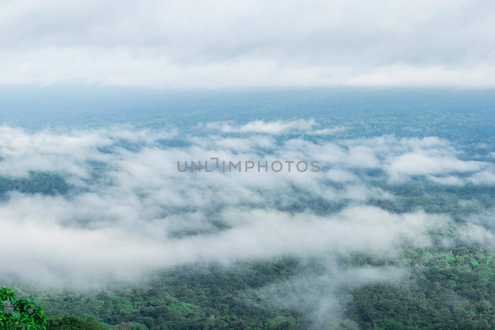 
Cloud landscape floating above the forest by Puripatt