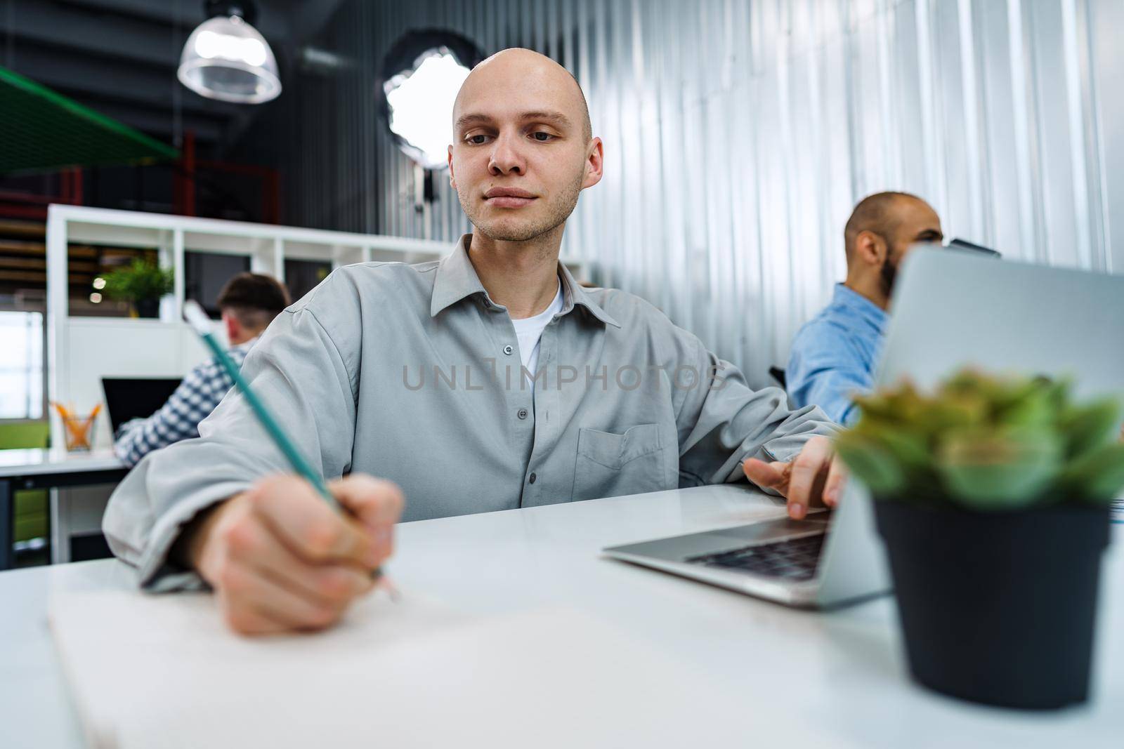 Young bald business man sitting at desk in office, working on computer, close up