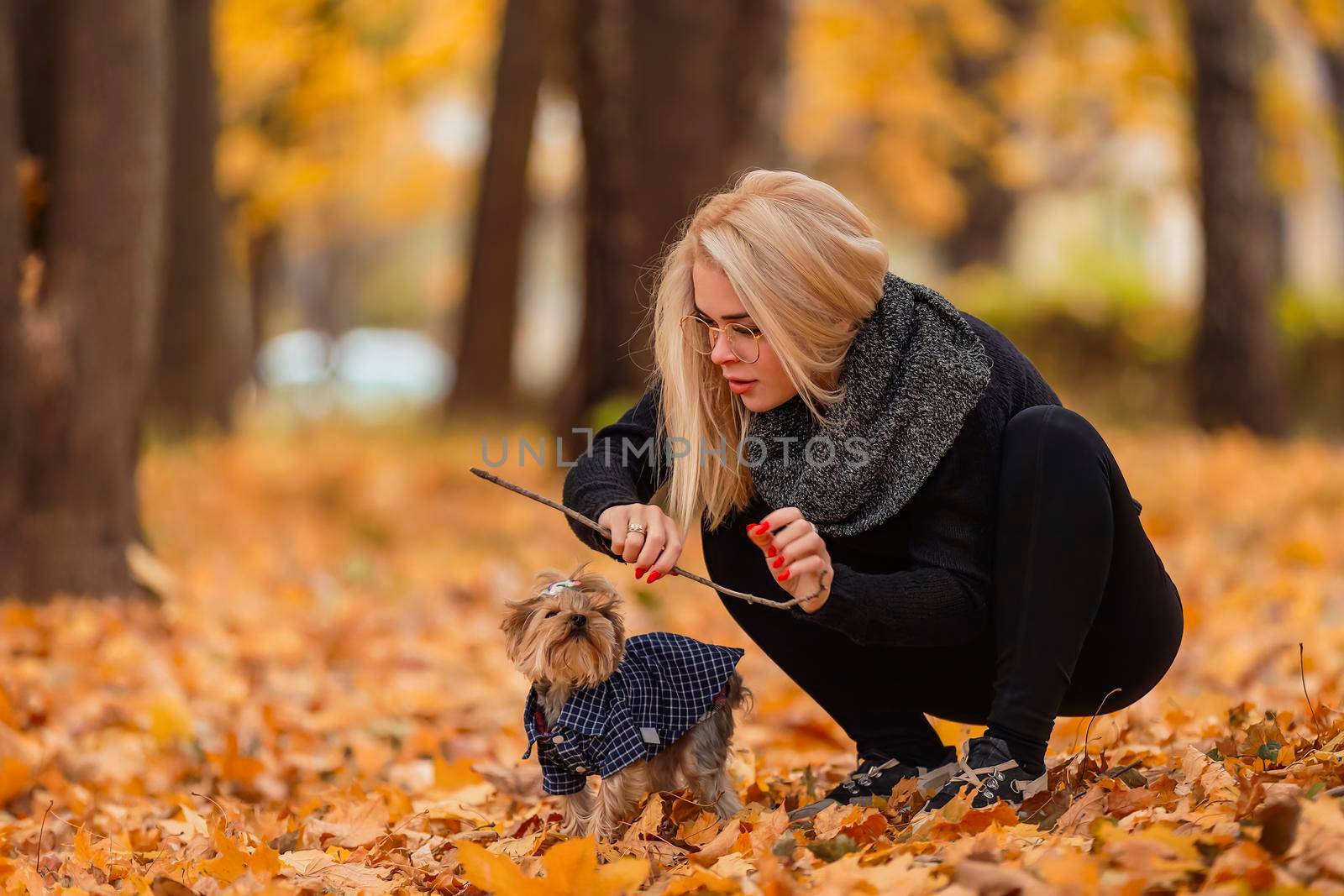 girl with her yorkshire terrier dog in the park