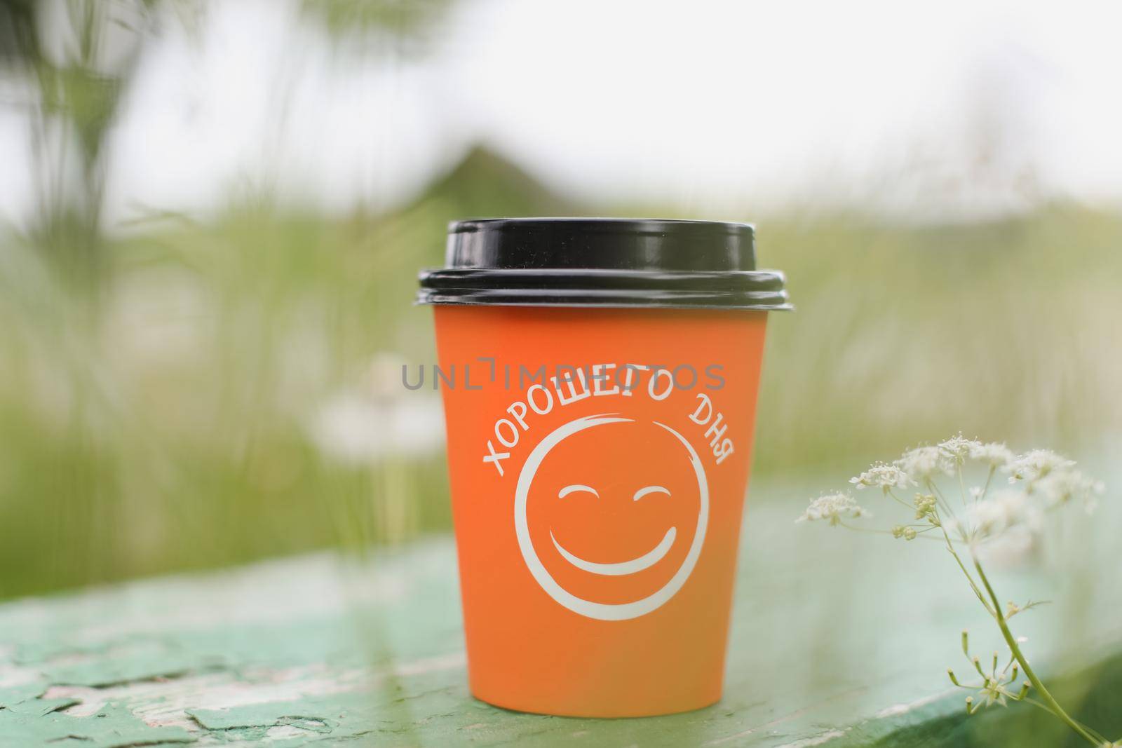Coffee paper cup with a have a nice day message. Good morning, motivation concept.