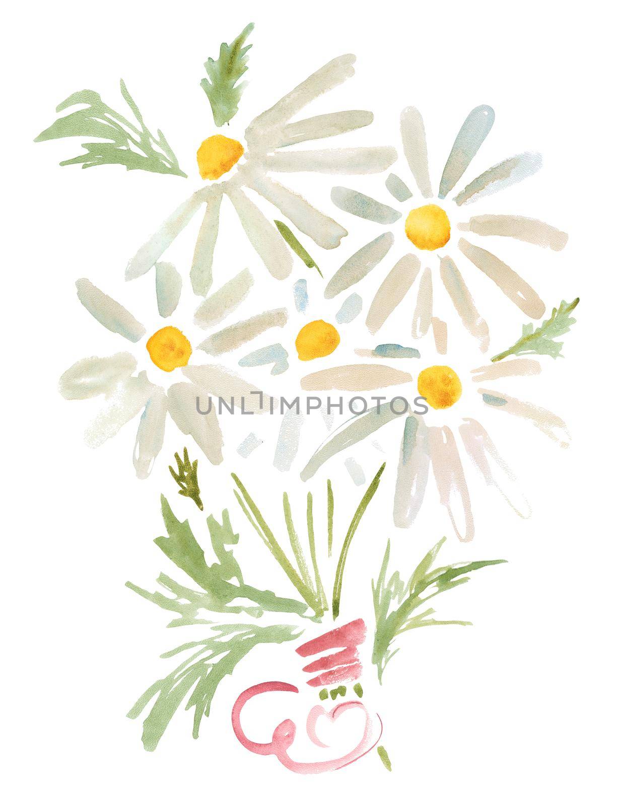 Watercolor illustration. Bouquet of daisies with a pink ribbon. Path included