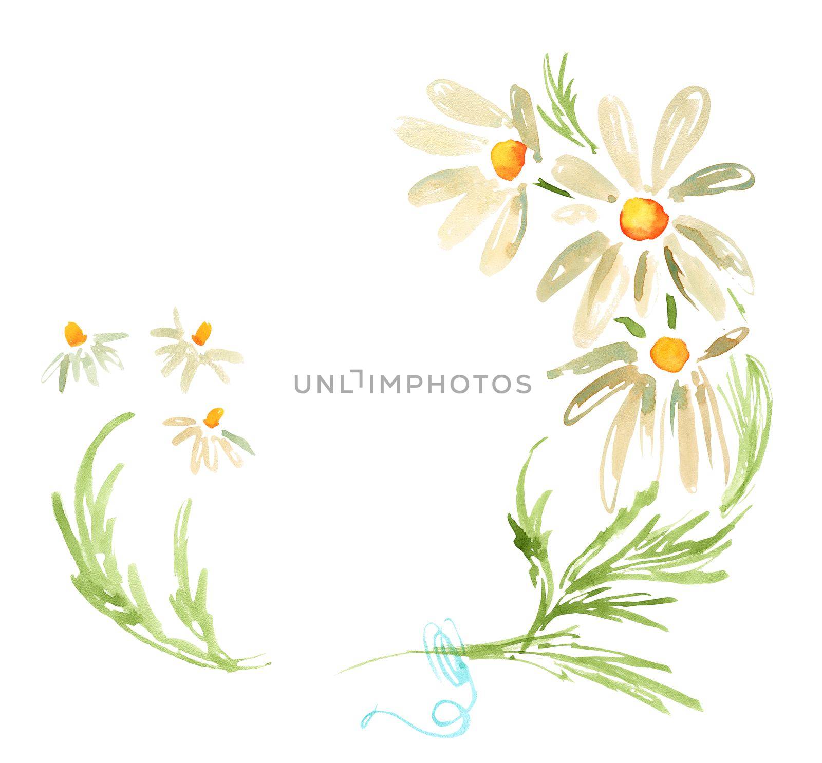 Watercolor decorative frame with daisies camomile flowers