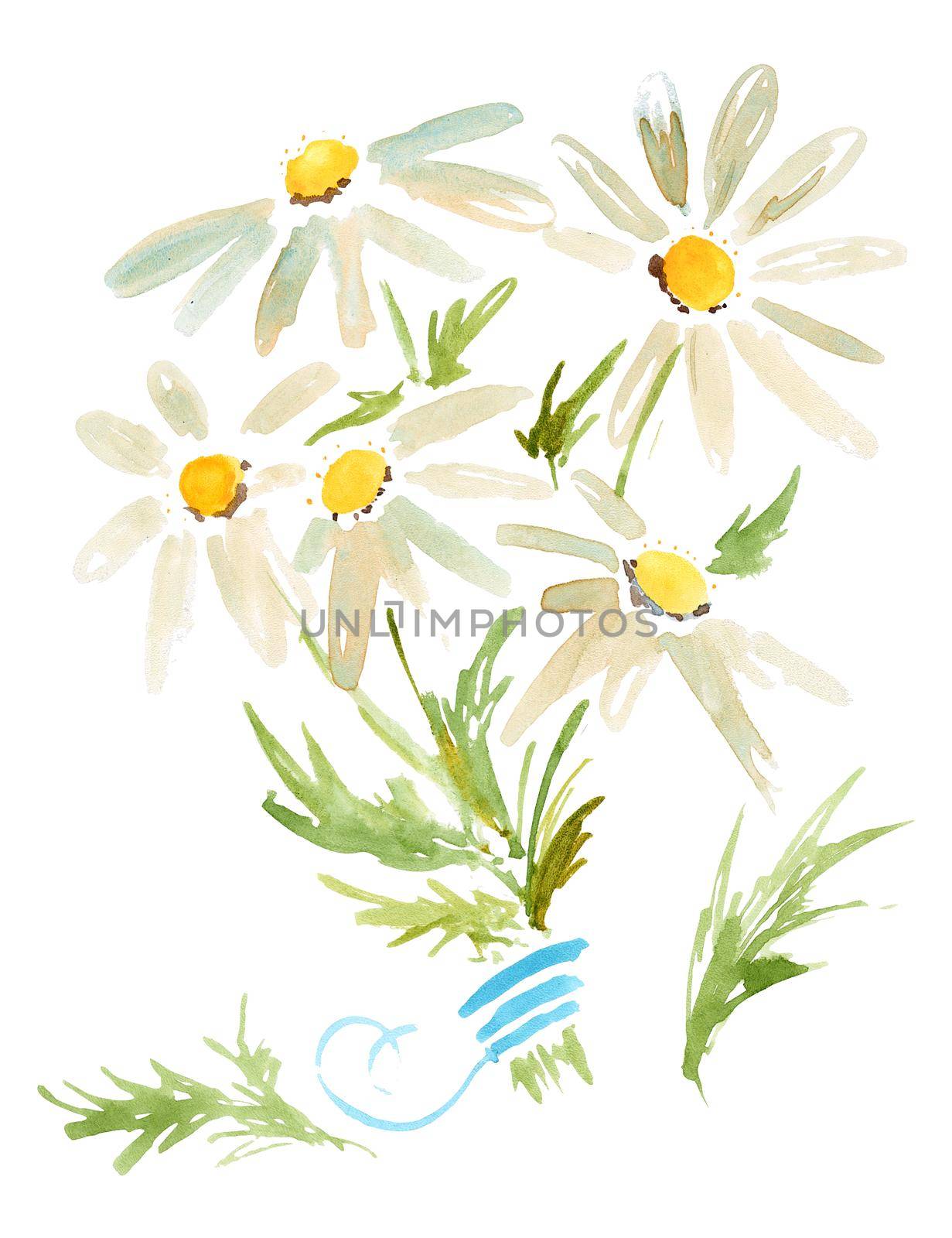 Watercolor illustration. Bouquet of chamomiles with a blue ribbon. Path included