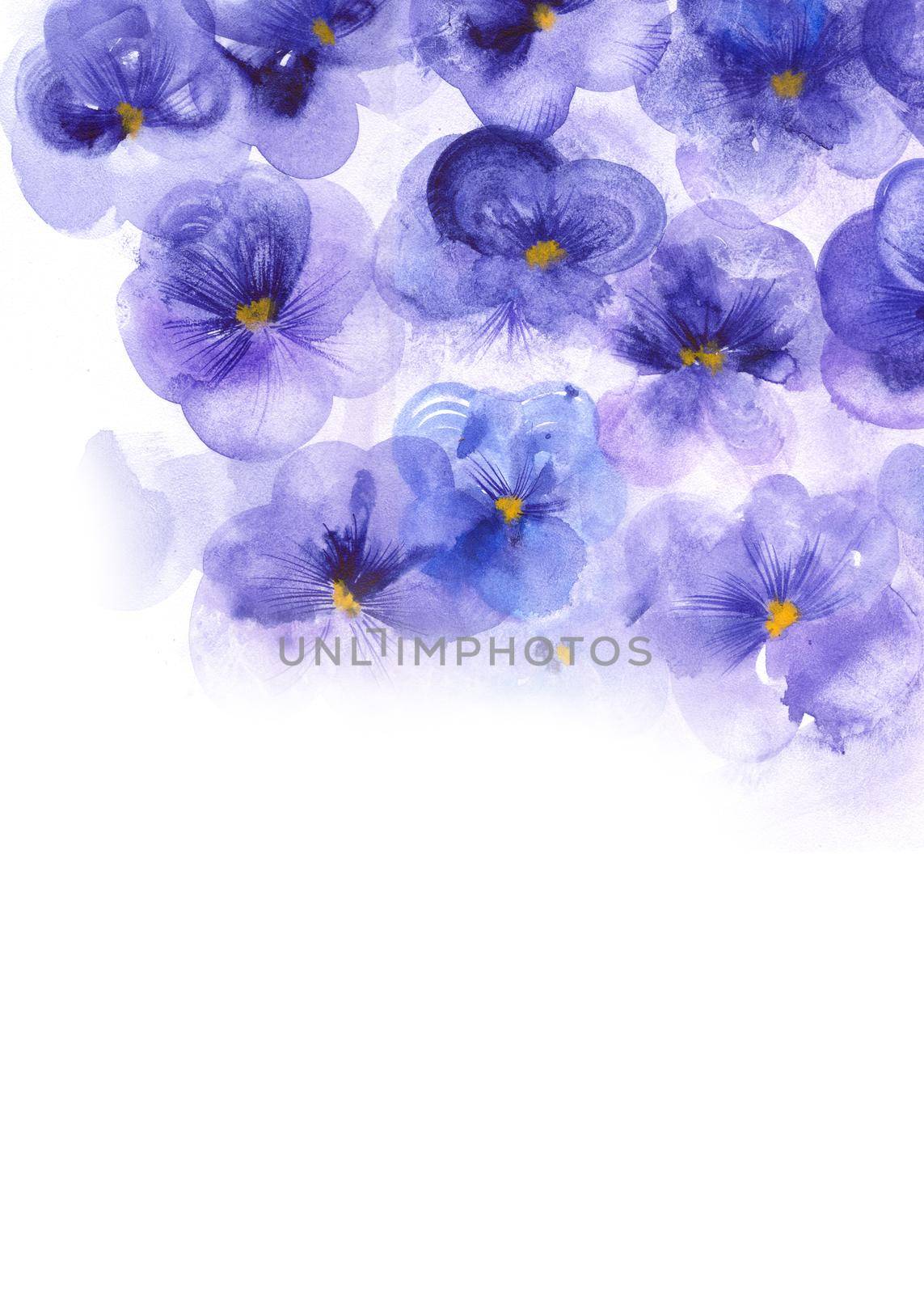 Purple flowers pansies. Template for the elegant design of invitations, cards, greetings or for high-res art prints