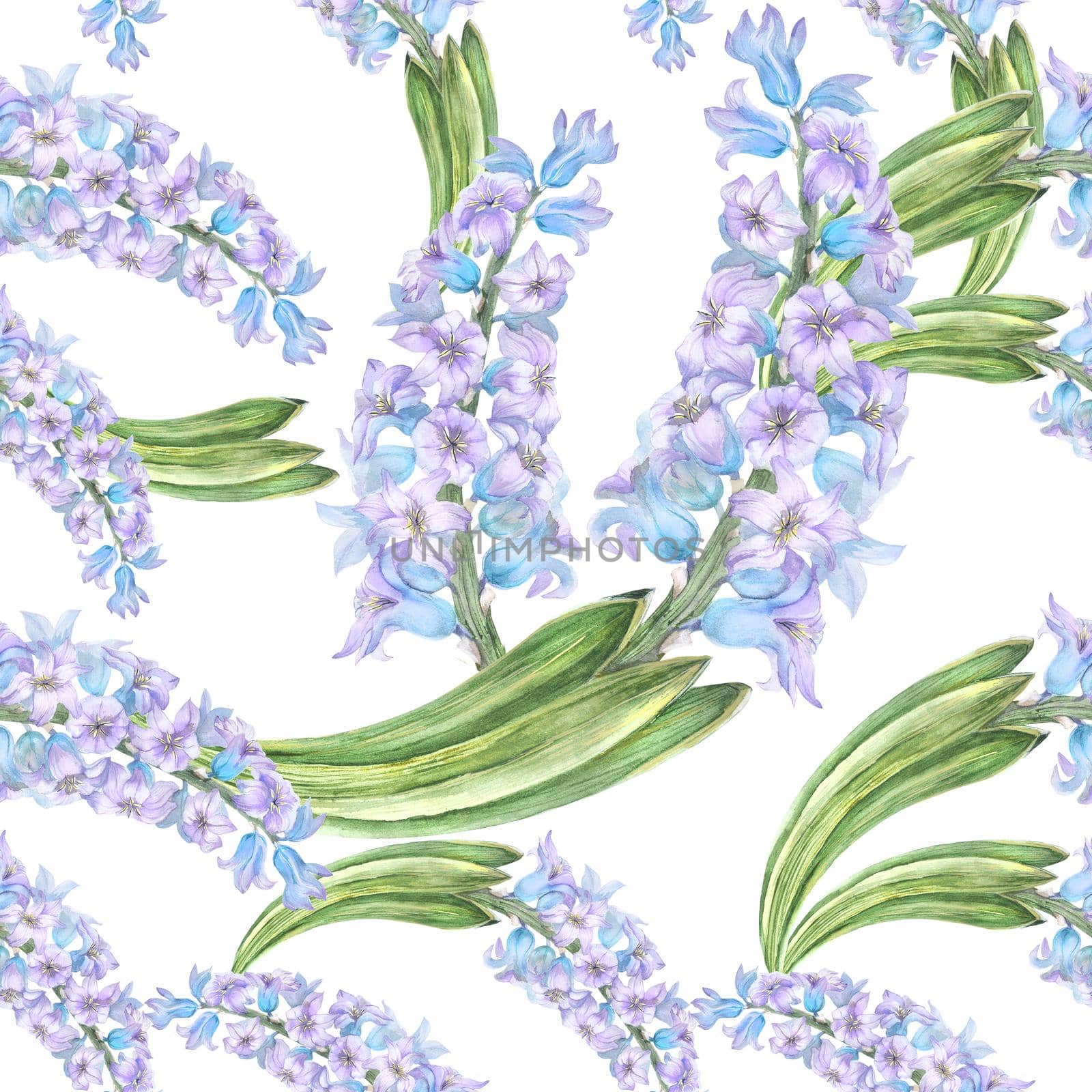 Modern watercolor botanical illustration in Old School style. Blue hyacinth. Seamless patterns, path included